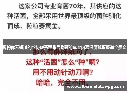 揭秘你不知道的欧协联赛程背后隐藏的真实内幕深度解析报道全景文 揭秘你不知道的欧协联赛程背后隐藏的真实内幕深度解析报道全景文